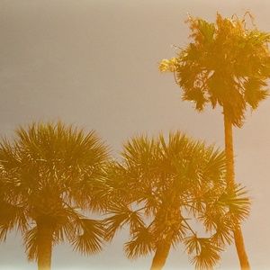 Meet your Posher, Dom